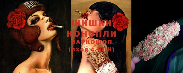 амф Пересвет