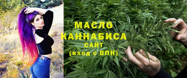 дживик Пестово