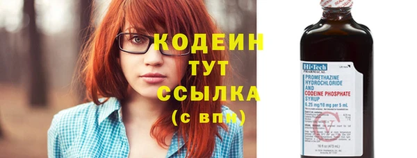 амф Пересвет