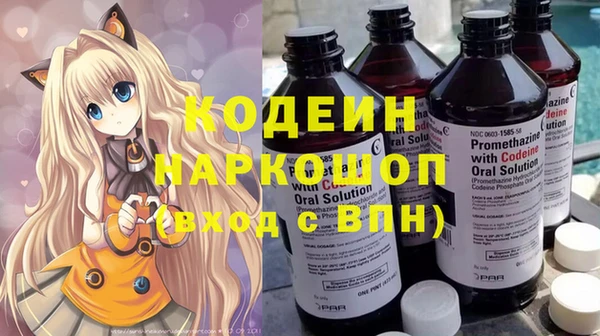 дживик Пестово