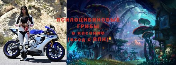 хмурый Болотное
