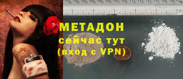 хмурый Болотное
