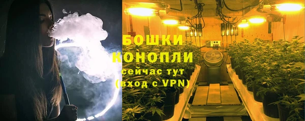 амф Пересвет